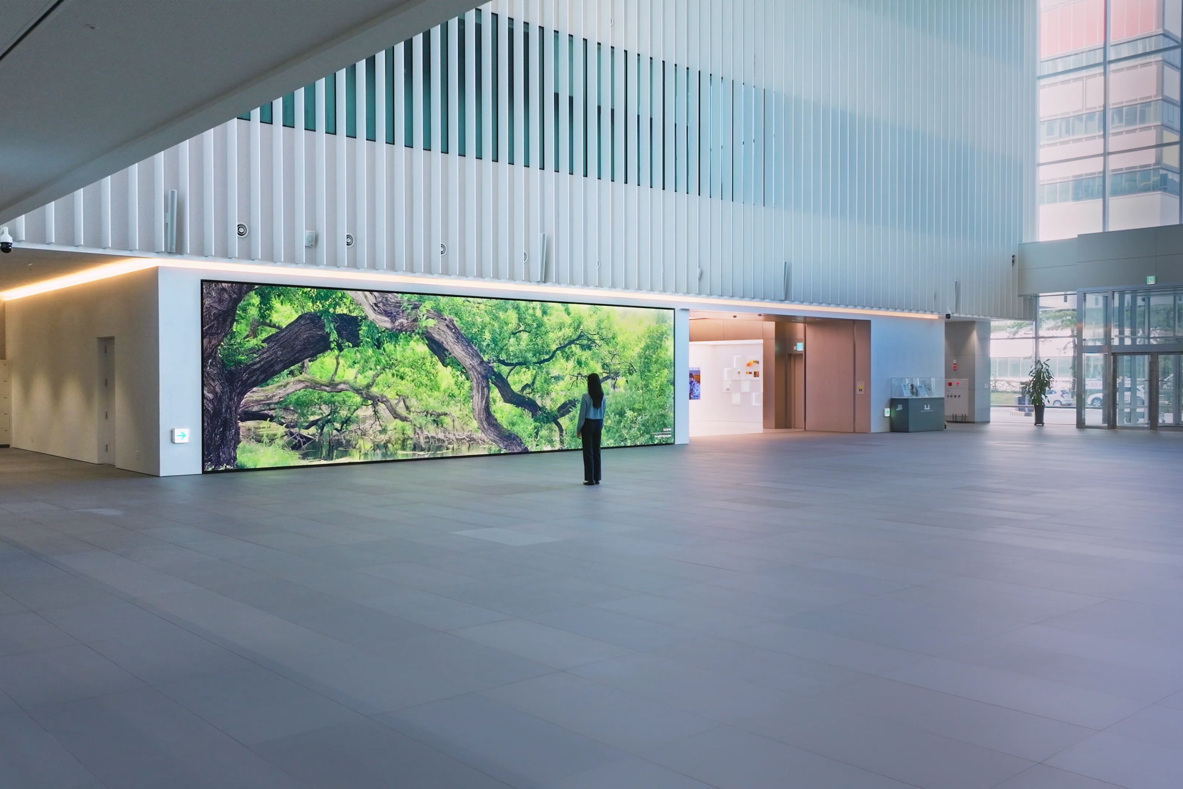 Samsung Display Research