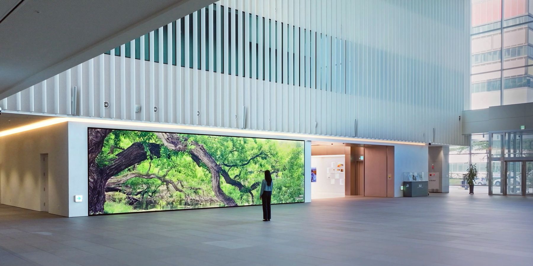 Samsung Display Research