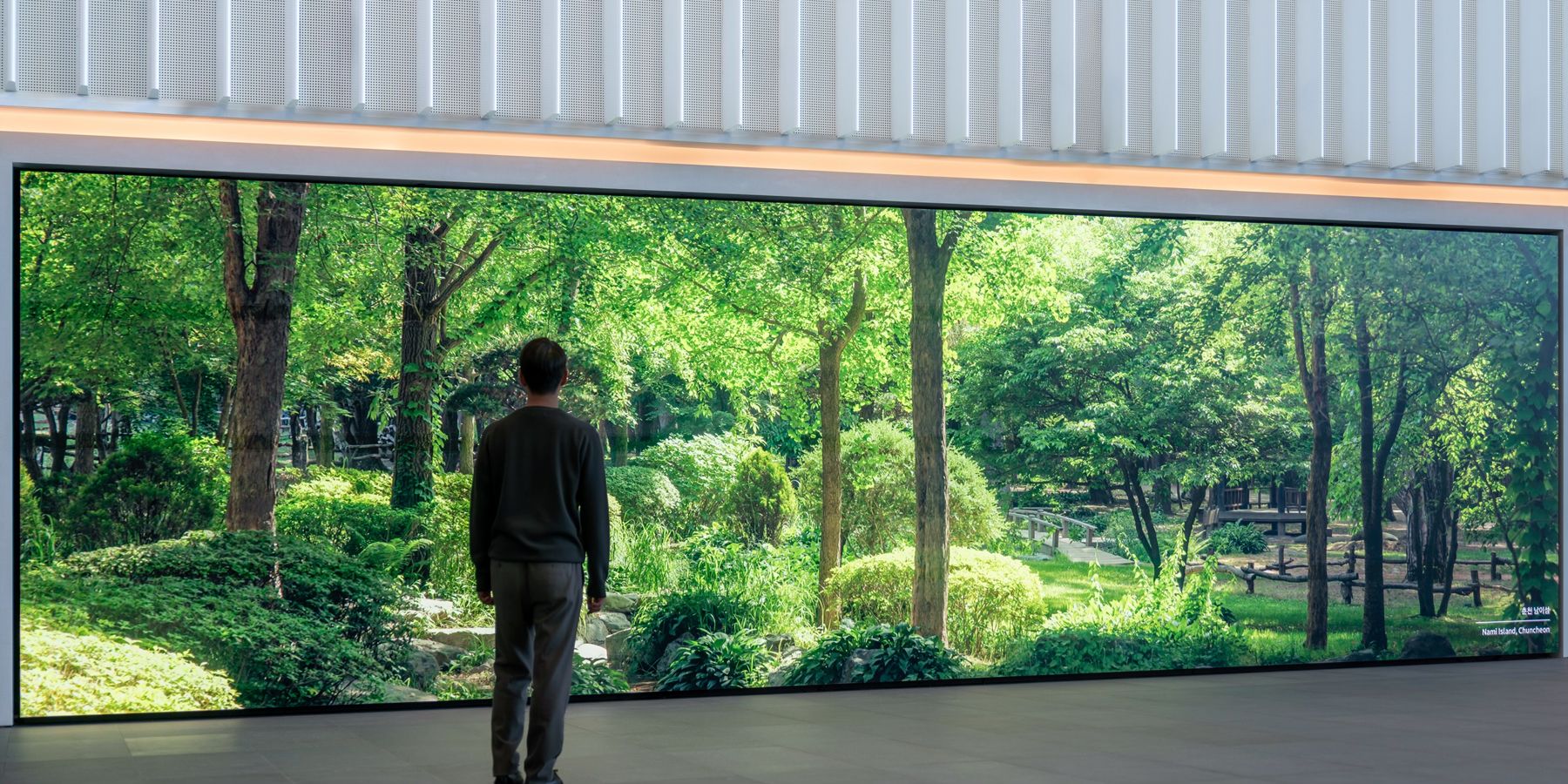 Samsung Display Research