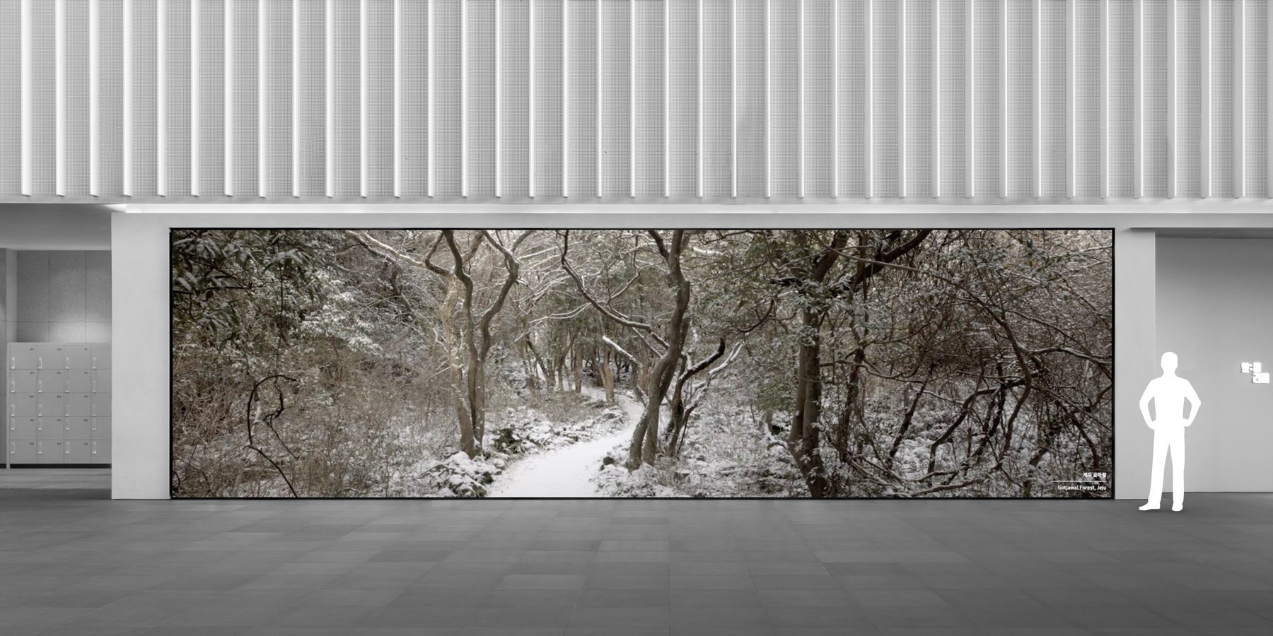 Seasonal Footage